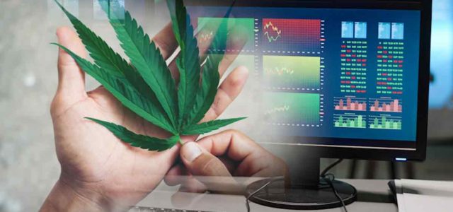 Top-Performing Cannabis Penny Stocks of the Week