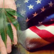 Top U.S. Marijuana Stocks to Watch in Mid-January 2024
