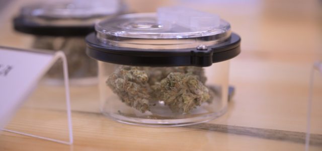 Brighton to allow marijuana stores for the first time