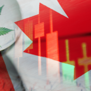 Cannabis Market Movers: Canada’s Top Picks for Mid-February 2024
