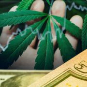 High Potential: Leading US Cannabis Companies to Watch Before March 2024