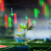 Investor Alert: Top Canadian Cannabis Picks for March 2024