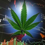 The Best Marijuana Stocks To Start The Week