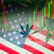 The Progress Of Legal Cannabis And Marijuana Stocks 2024