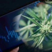 Top Cannabis REITs to Keep on Your Radar Before March 2024