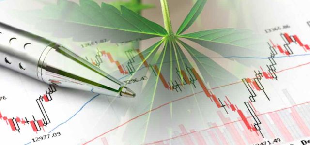 2 Top Marijuana Penny Stocks with High Momentum Before March 2024
