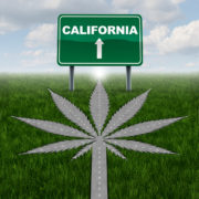 California’s Cannabis Industry Conundrum and the Road Ahead