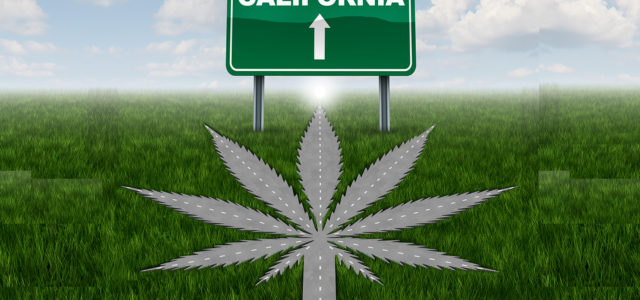 California’s Cannabis Industry Conundrum and the Road Ahead