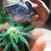 Cannabis Champions: March 2024’s Top Performing US Stocks