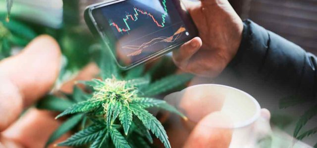 Cannabis Champions: March 2024’s Top Performing US Stocks
