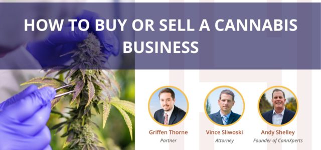 FREE Webinar: How to Buy or Sell a Cannabis Business | April 17th