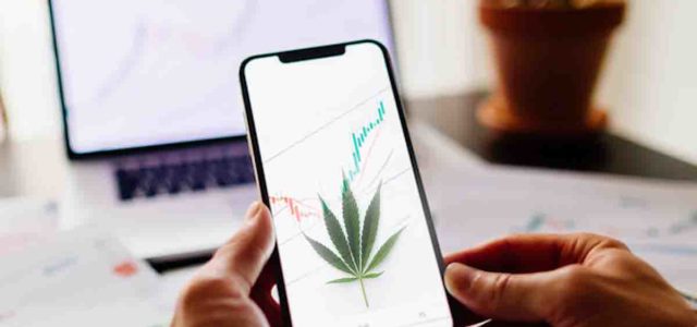 Leading US Ancillary Cannabis Stocks with Exceptional Double-Digit Gains Last Week