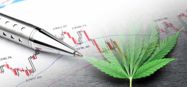 These Marijuana Stocks Could Hold Strong Long-Term Value