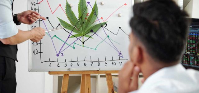 These Marijuana Stocks Could See Big Gains In 2024