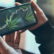 Top Marijuana Stocks To Trade This Week