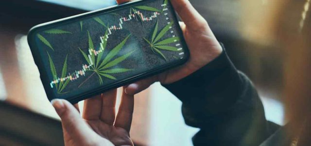 Top Marijuana Stocks To Trade This Week