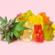 Unwrapping the Legal Battles Against Cannabis Edibles