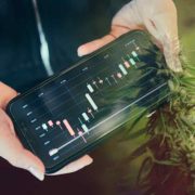 3 Marijuana Stocks To Watch To Add To Your List This Week