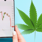 3 Top Marijuana Stock Cannabis Investors Right Now
