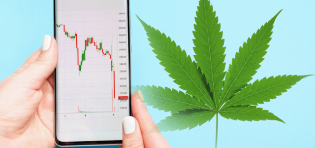 3 Top Marijuana Stock Cannabis Investors Right Now