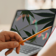 April 2024’s Top Cannabis REITs for High Dividend Yields