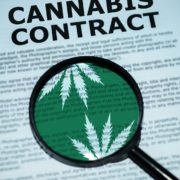 Cannabis Contracts 101: Authority and Why it Matters