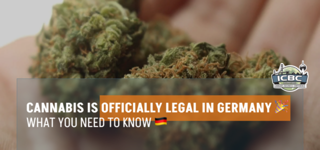 Cannabis Is Officially Legal In Germany – What You Need To Know