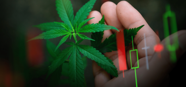 The Best Marijuana Tech Stocks For Traders To Watch