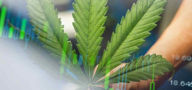 These Marijuana Stocks Could Begin To Rise Again?