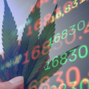 Top Marijuana Stocks for May 2024: What to Watch