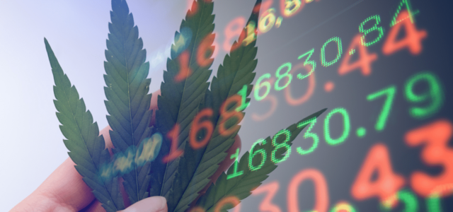 Top Marijuana Stocks for May 2024: What to Watch