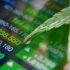 3 Marijuana Stock For Your 2024 Watch List This Month