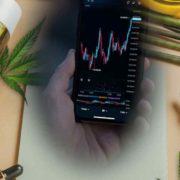 3 Marijuana Stocks To Buy While Cannabis Politics Are Ramped?