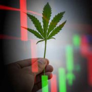 3 Marijuana Stocks To Watch In May 2024