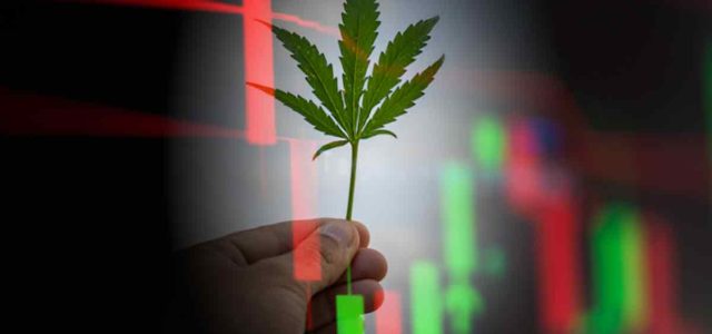 3 Marijuana Stocks To Watch In May 2024