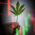 3 Marijuana Stocks To Watch In May 2024