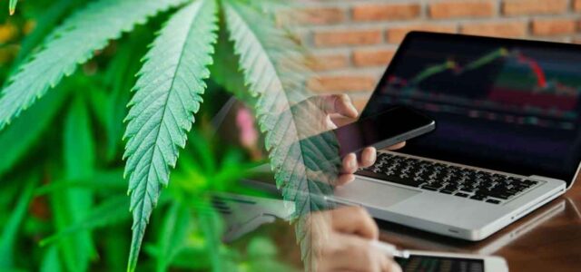 3 Top Long-Term Marijuana Stocks To Add To Your Watchlist