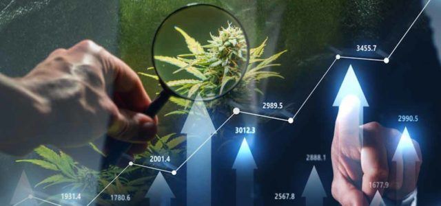 High Potential: Top U.S. Cannabis Stocks Poised for Growth