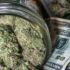 Marijuana Stocks To Watch As The DEA Works To Reschedule Cannabis