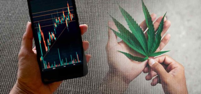 This Is How Marijuana Stocks Will Be Impacted By Reform In 2024