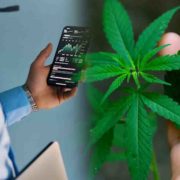 Top Ancillary Cannabis Companies Revolutionizing the Industry