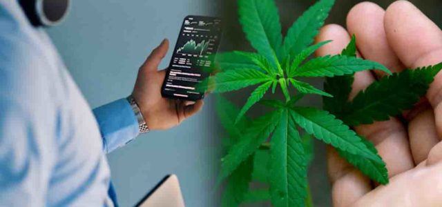 Top Ancillary Cannabis Companies Revolutionizing the Industry