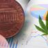 Top Marijuana Penny Stocks for Your May 2024 Watchlist