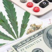 Top Marijuana Stocks For Cannabis Investing In May