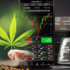 Top Marijuana Stocks to Watch Next Week: Your Guide to Potential High-Growth Investments