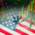 Top MSO Marijuana Stocks to Watch This Memorial Day Weekend