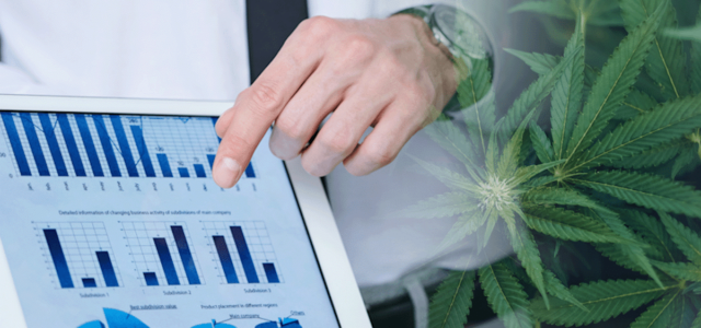 3 Marijuana Stocks To Buy As A Cannabis Investor