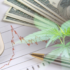 3 Marijuana Stocks To Buy Or Sell In Today’s Stock Market