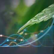 3 Marijuana Stocks To Watch In A Volatile Market