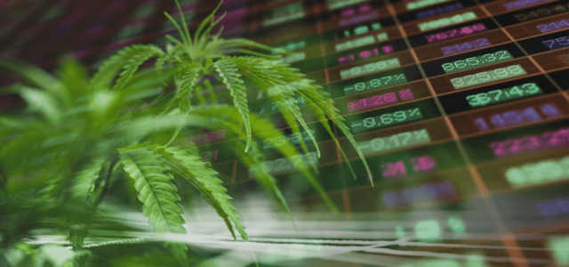 Ancillary Cannabis Stocks Leading the Hydroponics Market